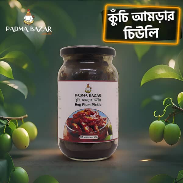 কুঁচি আমড়ার চিউলি | Hog Plum Pickle