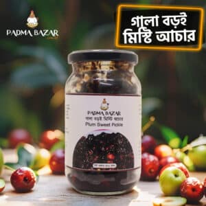 গালা বড়ই মিস্টি আচার | Plum Sweet Pickle