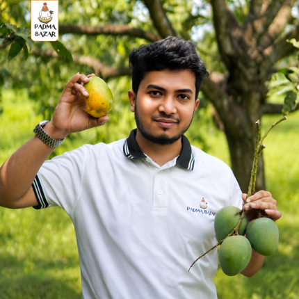 Himsagar Mango