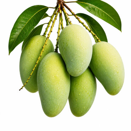 আম্রপালি আম - Amrapali Mango